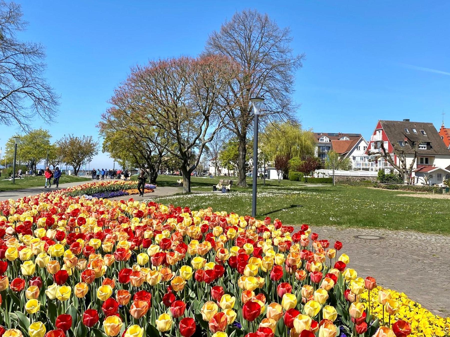 Ferienwohnung Im Seepalais Langenargen Exteriör bild